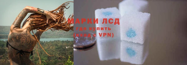 стафф Беломорск