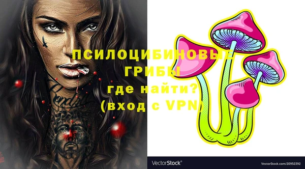 дживик Белоозёрский