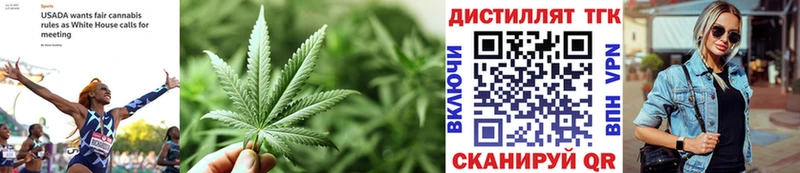 KRAKEN ONION  Воткинск  ТГК Wax 