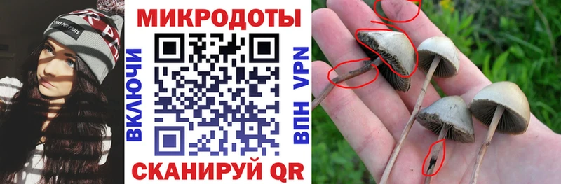 Псилоцибиновые грибы Cubensis нарко площадка телеграм Воткинск
